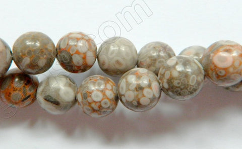 Ocean Fossil  -  Smooth Round Beads  16"