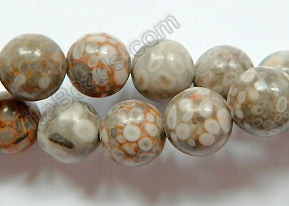 Ocean Fossil  -  Smooth Round Beads  16"