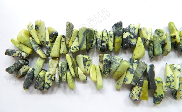 Yellow Turquoise  -  Big Long Chips 16"     6 - 18 mm