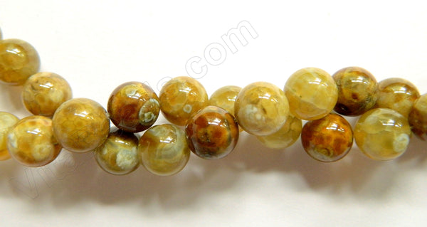 Turtle Fire Agate  -  Smooth Round Beads  16"