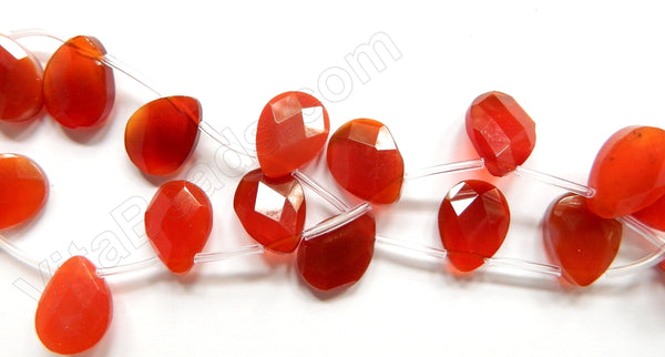 Carnelian  -  15x20mm Faceted Flat Briolettes  16"