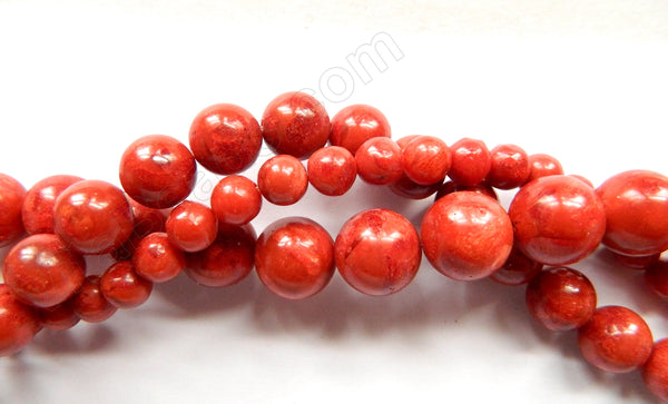 Red SpongeCoral  -  Smooth Round Beads  16"