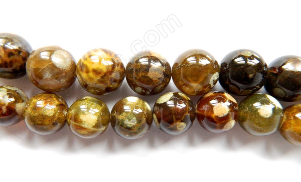 Turtle Fire Agate  -  Big Smooth Round Beads  16"