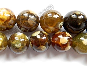 Turtle Fire Agate  -  Big Smooth Round Beads  16"
