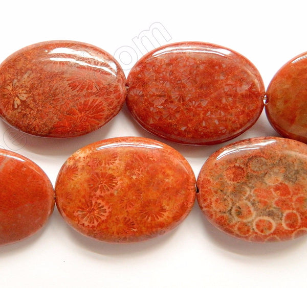 Red FossilCoral  -  Big Puff Ovals  16"