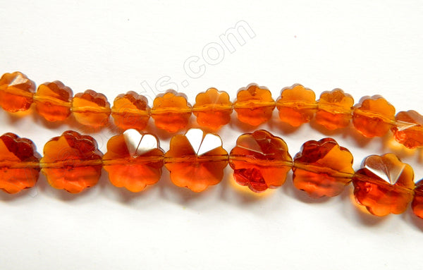 Amber Crystal  -  Caviar Flower