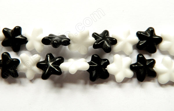 Mixed Black White Onyx  -  Carved Star Strand  16"