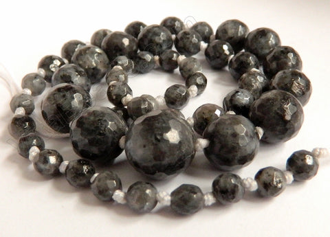 Larvikite   Graduated Faceted Round Necklace 18"