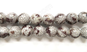 Grey Snake Skin Shell Beads -  Big Smooth Round 16"