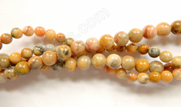 Crazy Lace Agate A  -  Smooth Round Beads 16"
