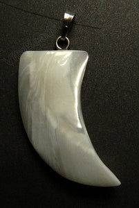 White Shell Pendant w/ Silver Bail - Horn shape