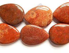 Red FossilCoral  -  Big Puff Pears  16"