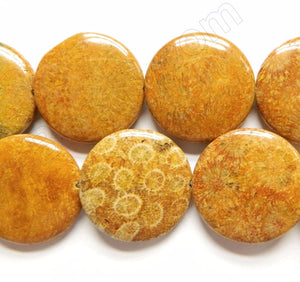 Yellow Fossil Coral  -  Puff Coins 16"