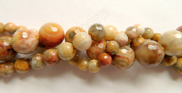 Crazy Lace Agate A  -  Faceted Round Beads 16"