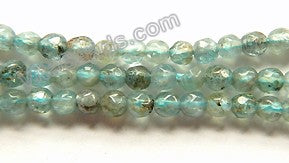 Apatite AB Natural  -  Small Faceted Round  15"