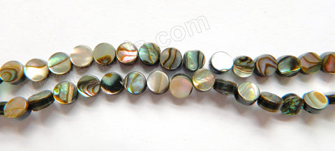 Abalone - Flat Coins 16"