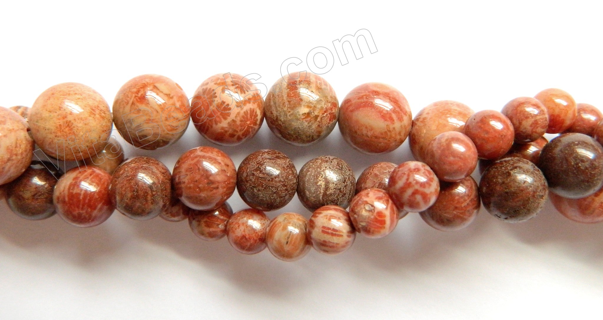 Red FossilCoral Jasper  -  Smooth Round Beads  16"