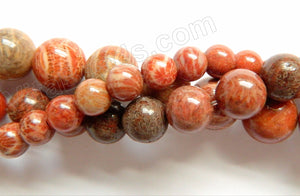 Red FossilCoral Jasper  -  Smooth Round Beads  16"