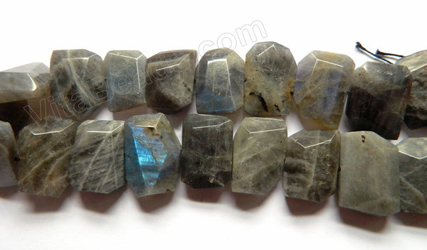 Labradorite Dark AAA -  Center Drilled Faceted Flat 16"    22 x 18  x 8 mm