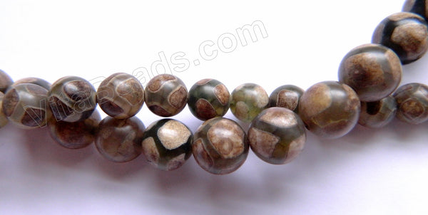 Tibetan Turtle Agate  -  Smooth Round Beads  15"