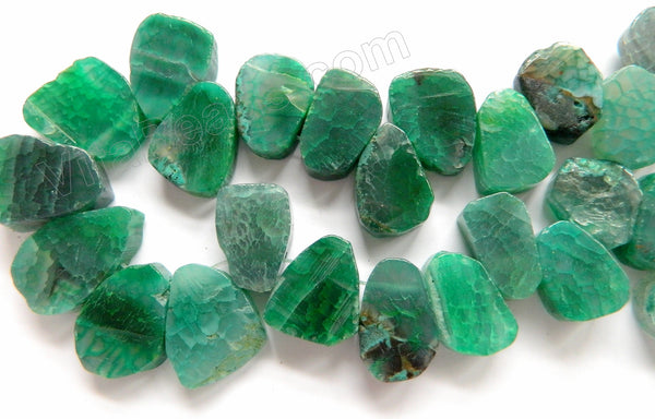 Emerald Fire Agate  -  Graduated Flat Ladder Strand  16"