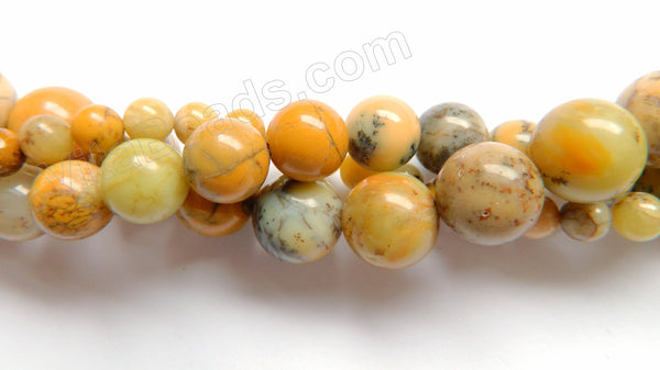 Yellow Moss Opal AA  -  Smooth Round Beads  15"