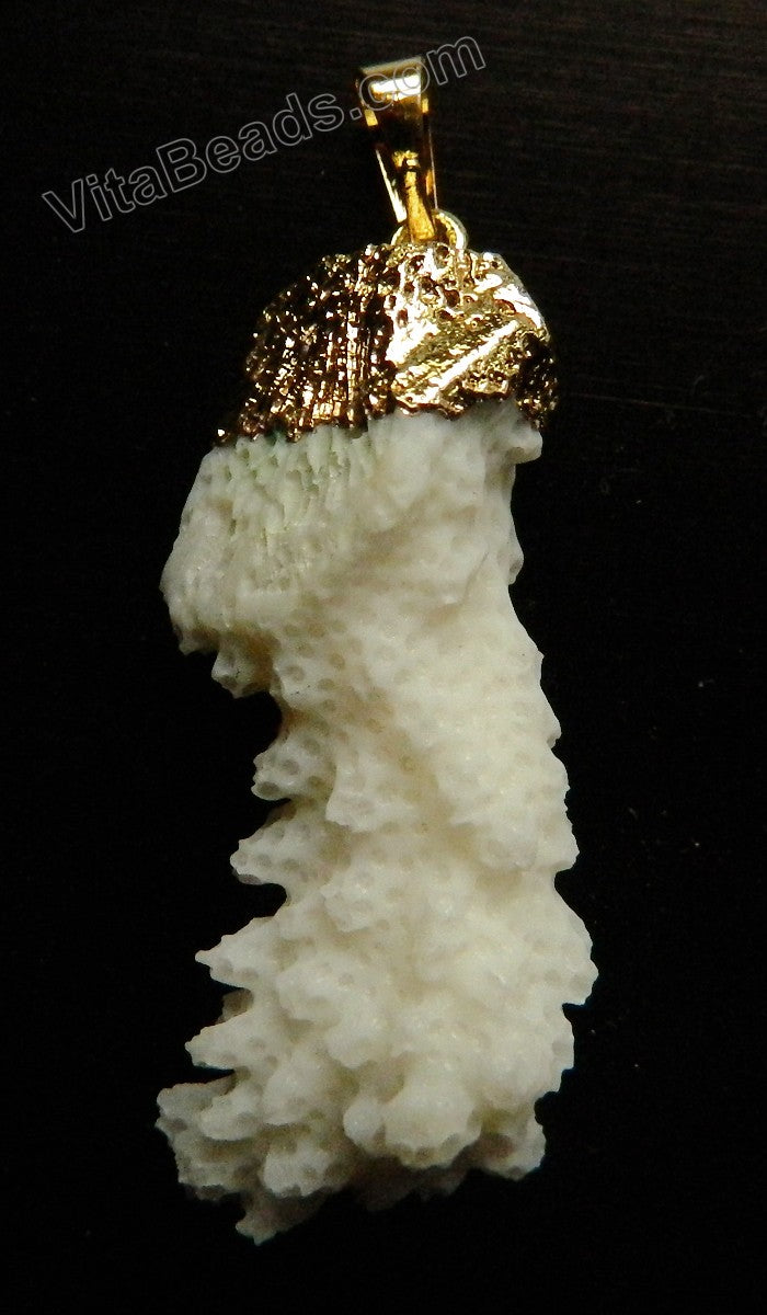 White SpongeCoral Natural A  -  Free Form Tooth Pendant   Gold Plated Bail
