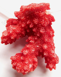 Red Rough Coral  -  Free Form Tooth Pendant Top Drilled