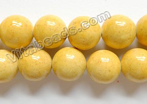 Color Fossil Agate  02  -  Smooth Round Beads 16"