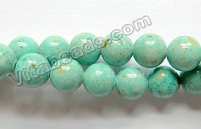 Color Fossil Agate  15  -  Smooth Round Beads 16"