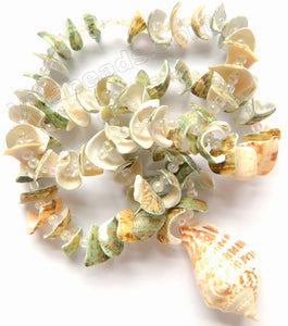 Shell Necklaces SNC 009 - Green