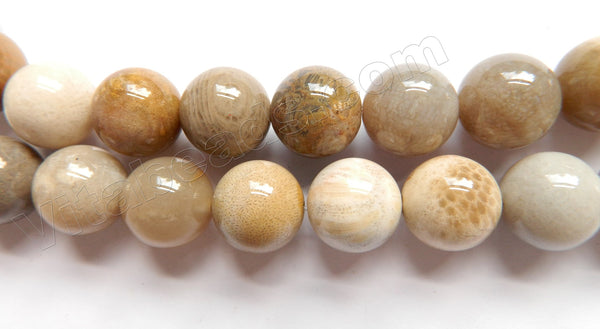 Natural Fossil Co-ral Jasper AA  -  Big Smooth Round Beads  16"