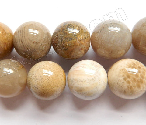 Natural Fossil Co-ral Jasper AA  -  Big Smooth Round Beads  16"