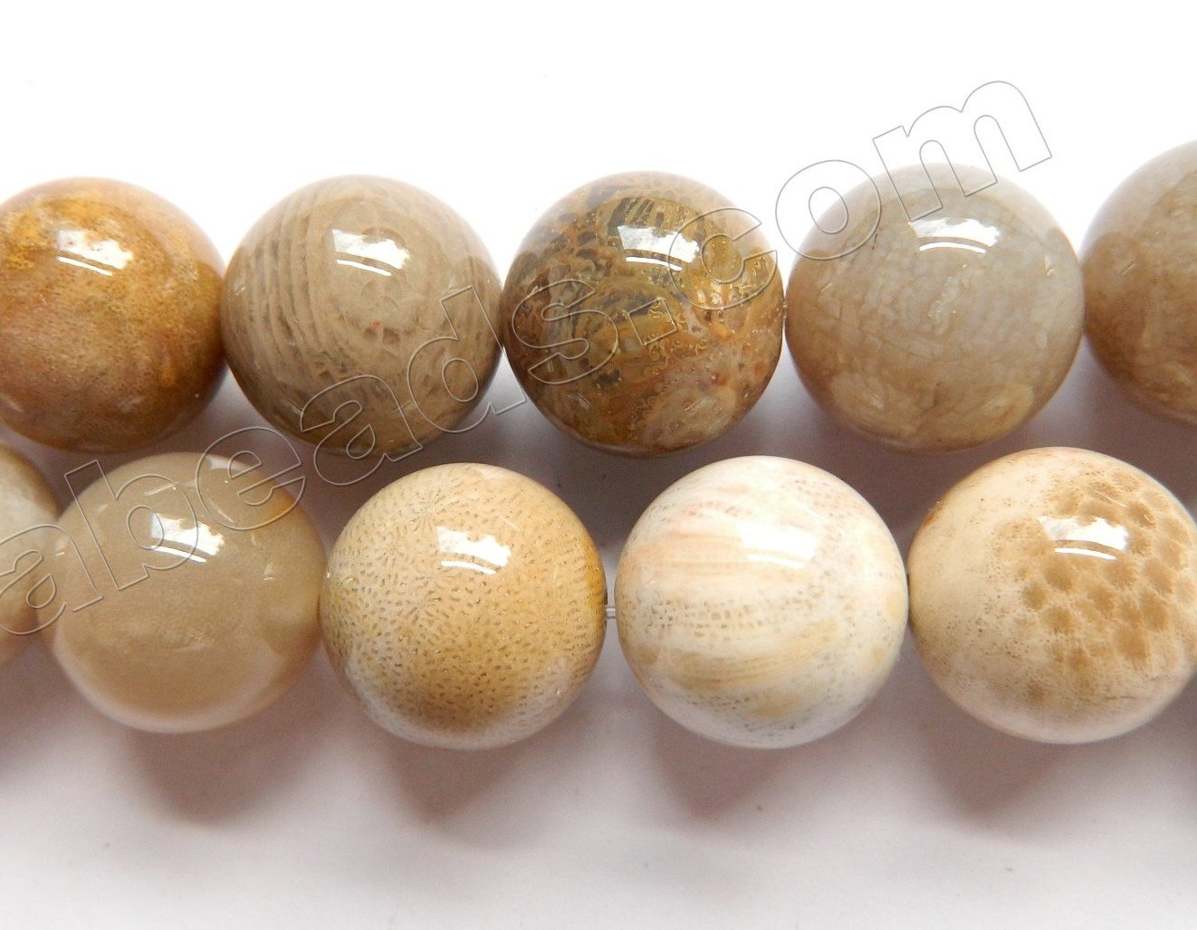 Natural FossilCoral Jasper AA  -  Smooth Round Beads  16"