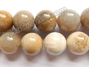 Natural Fossil Co-ral Jasper AA  -  Big Smooth Round Beads  16"