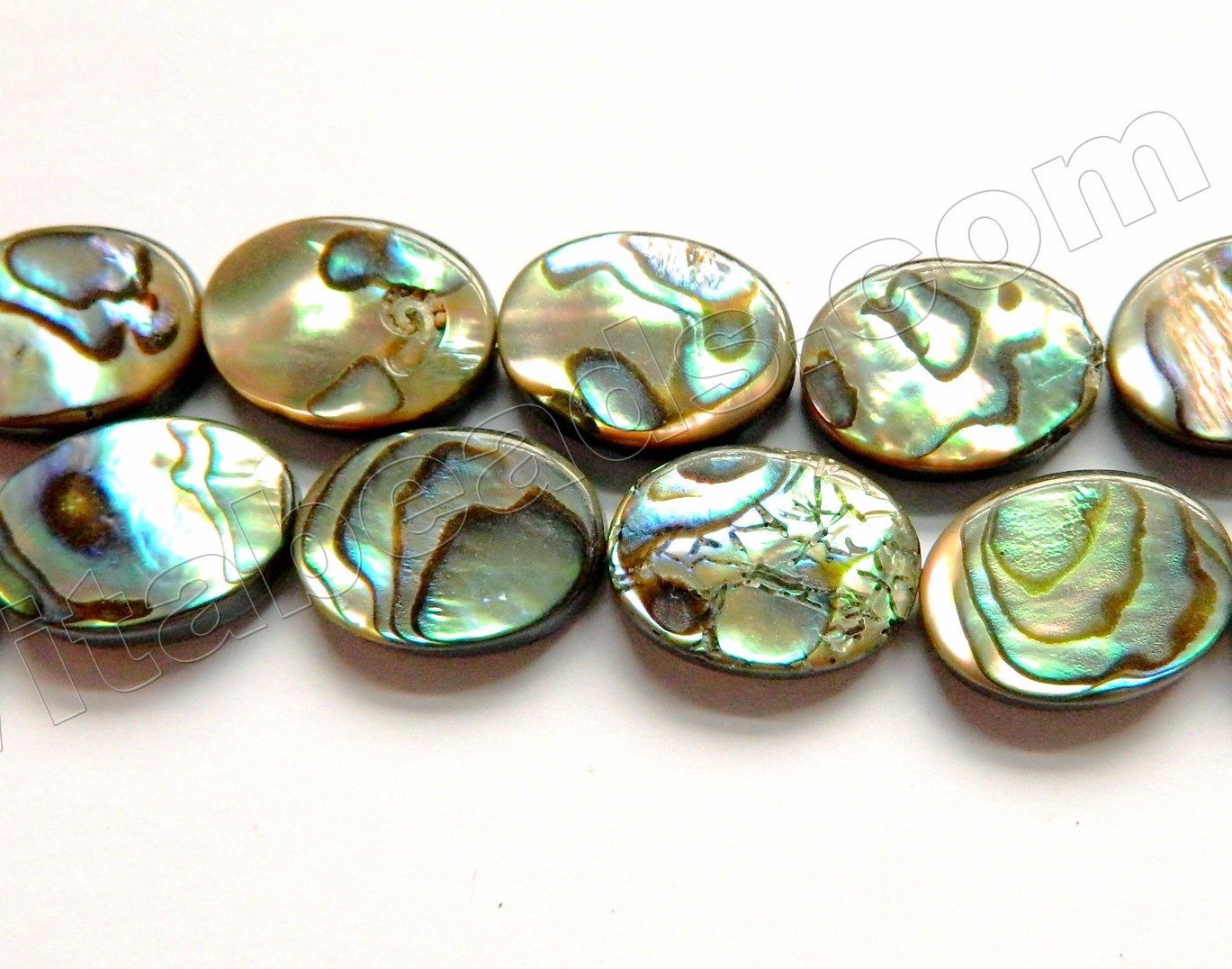 Abalone  -  Flat Ovals  16"