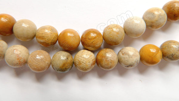 Natural FossilCoral Jasper AA  -  Smooth Round Beads  16"