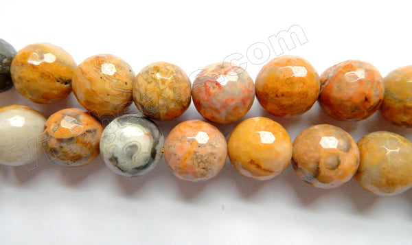 Crazy Lace Agate A  -  Faceted Round Beads 16"