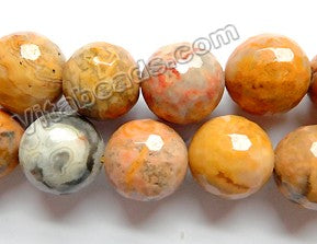 Crazy Lace Agate A  -  Faceted Round Beads 16"