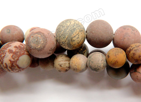 Frosted Picture Agate  -  Smooth Round Beads 16"