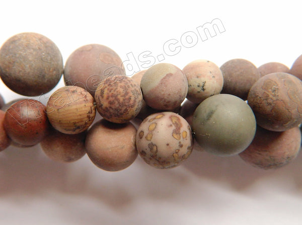 Frosted Picture Agate  -  Smooth Round Beads 16"