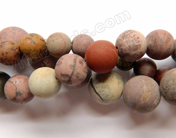 Frosted Picture Agate  -  Smooth Round Beads 16"