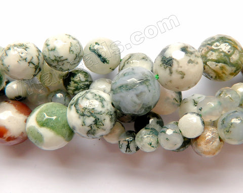 Tree Agate A  -  Faceted Round  16"