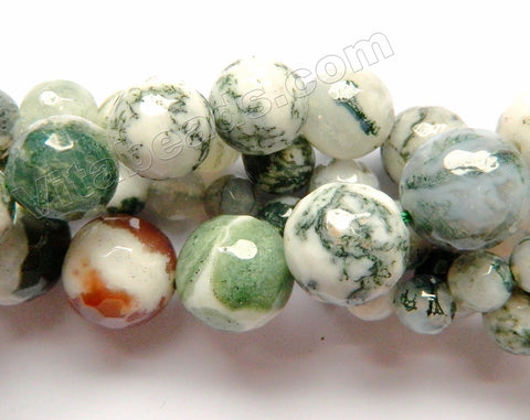 Tree Agate A  -  Faceted Round  16"