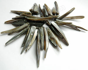 MOP Shell  -  Grey  -  Graduated Long Sticks 7"