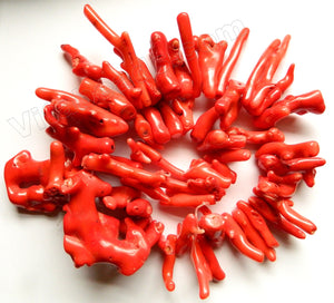  Orange Red Coral AA  -  Graduated Smooth Branch Stick  15"