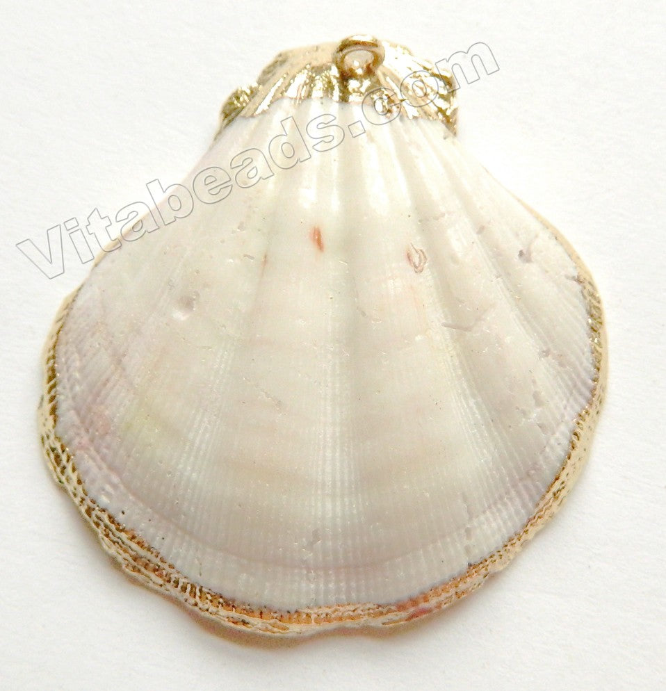 Scallop Shell Pendant w/ Gold Foiled Edge &. Bail   Cream White