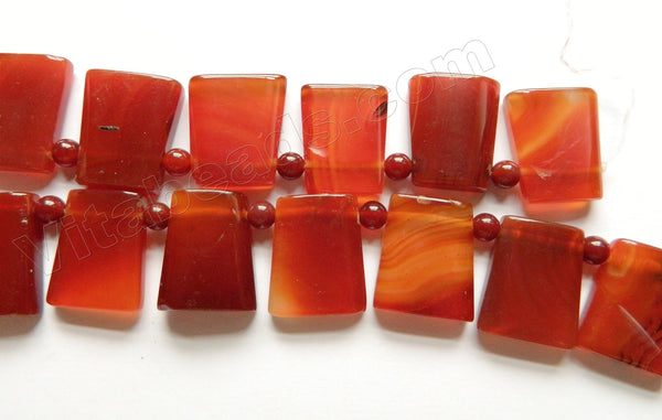 Carnelian - Smooth Ladder Top Drilled Ladder Strand  16"