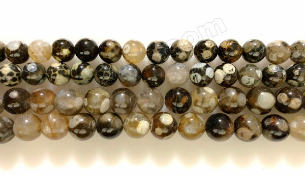 Turtle Fire Agate  -  Smooth Round Beads  16"