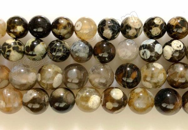 Turtle Fire Agate  -  Smooth Round Beads  16"